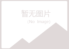 万宁紫山水泥有限公司